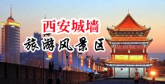 骚骚的寡妇中国陕西-西安城墙旅游风景区