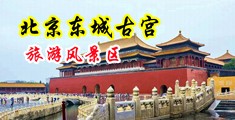 男人的天堂强奸中国北京-东城古宫旅游风景区